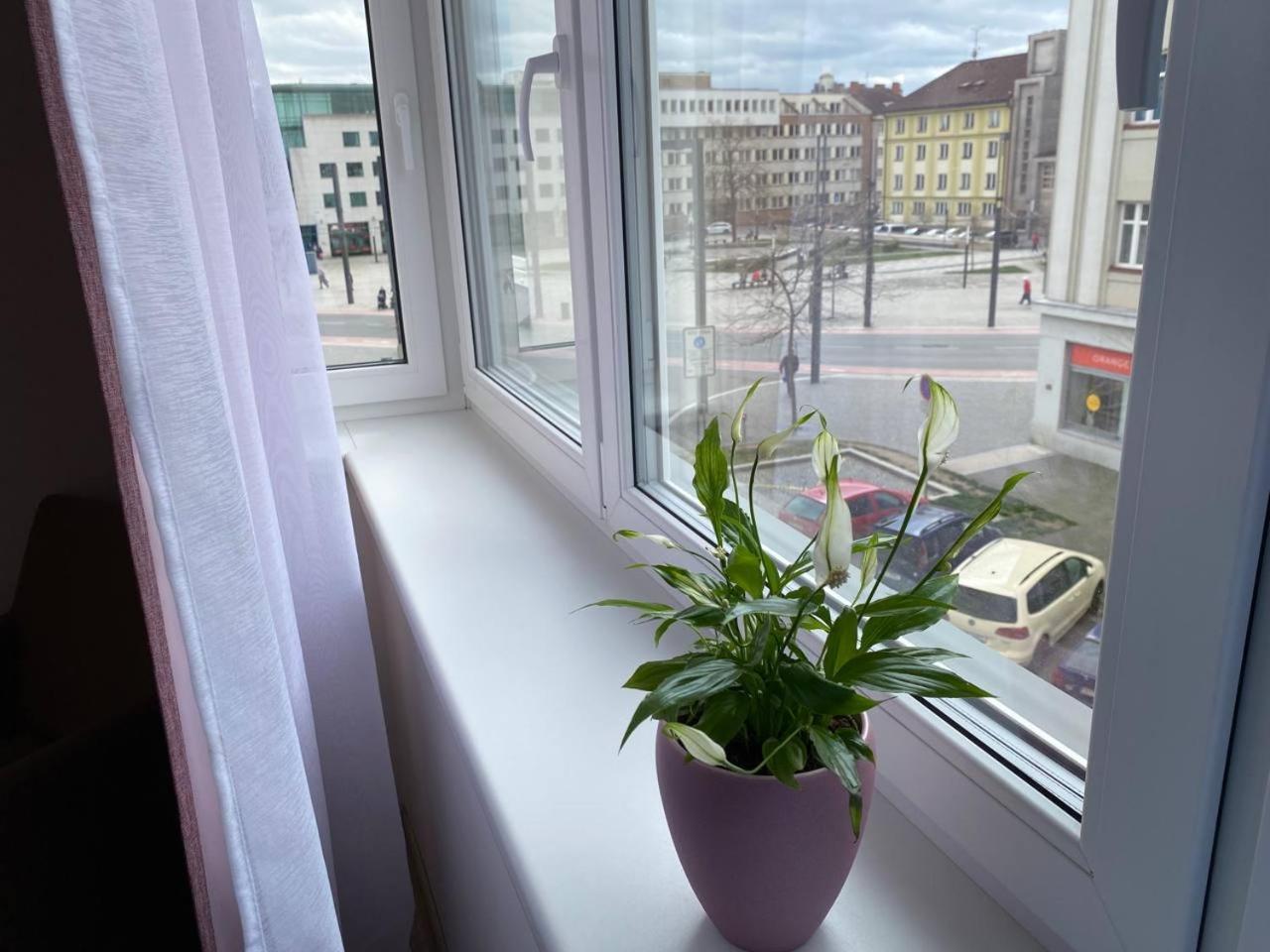 Perla Hradce 302 Hradec Kralove Exterior foto